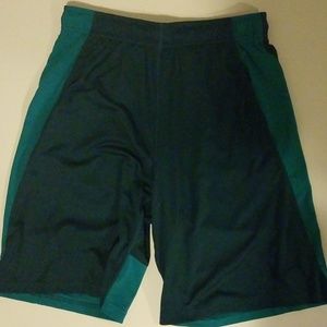 Nike Dry Fit Shorts M